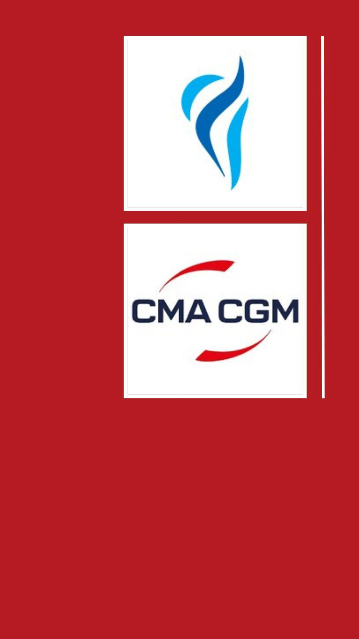 CMA CGM backs joint venture building electric vans for European logistics |  DC Velocity