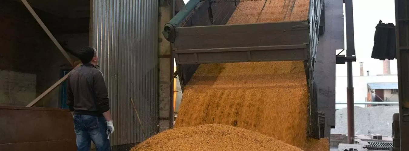 A truck unloads corn grain at a processing factory in Ukraine. © FAO/Genya Savilov